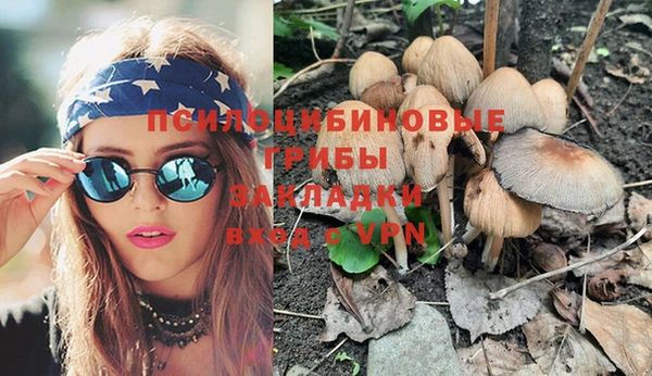 твердый Белокуриха