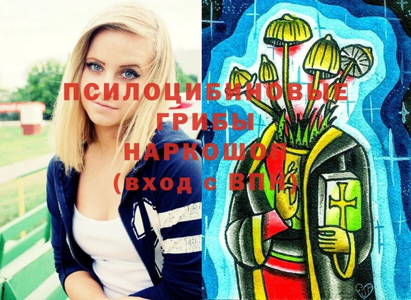 твердый Белокуриха