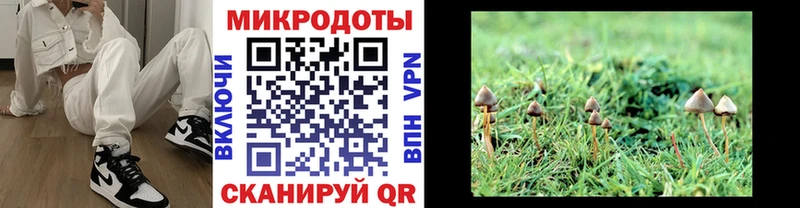 Галлюциногенные грибы мицелий  дарнет шоп  Красный Кут 